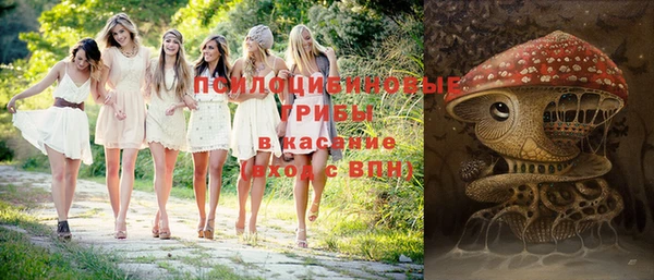 ГАЛЛЮЦИНОГЕННЫЕ ГРИБЫ Алексеевка