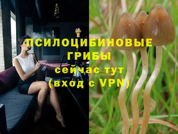 ГАЛЛЮЦИНОГЕННЫЕ ГРИБЫ Алексеевка