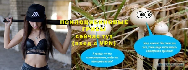ГАЛЛЮЦИНОГЕННЫЕ ГРИБЫ Алексеевка