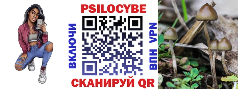 закладка  Калтан  Псилоцибиновые грибы прущие грибы 